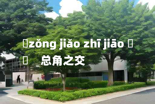 
	zǒng jiǎo zhī jiāo 	
	    总角之交