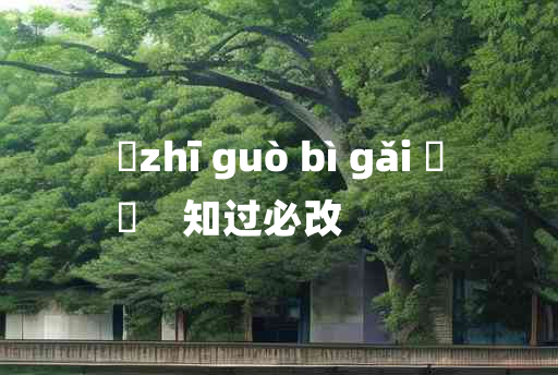 
	zhī guò bì gǎi 	
	    知过必改