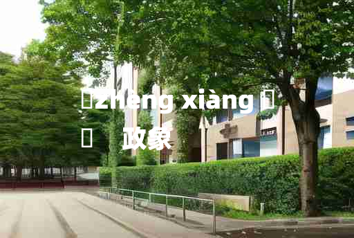 
	zhèng xiàng 	
	    政象