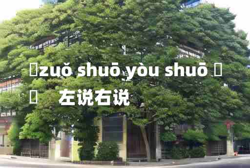 
	zuǒ shuō yòu shuō 	
	    左说右说