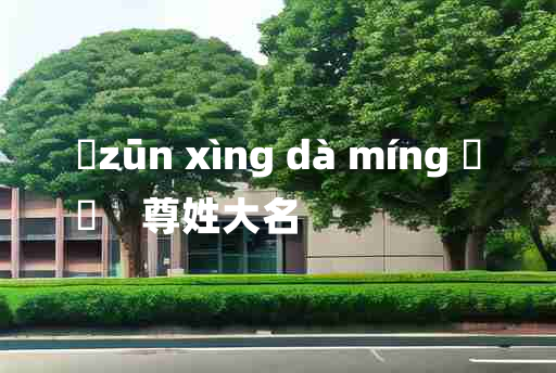 
	zūn xìng dà míng 	
	    尊姓大名