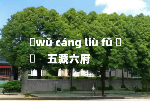 
	wǔ cáng liù fǔ 	
	    五藏六府