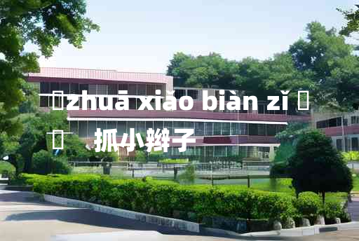 
	zhuā xiǎo biàn zǐ 	
	    抓小辫子