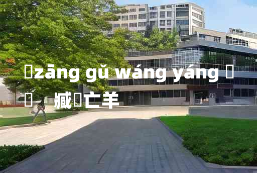 
	zāng gǔ wáng yáng 	
	    臧穀亡羊