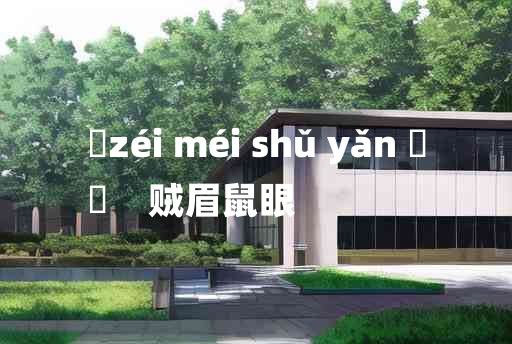 
	zéi méi shǔ yǎn 	
	    贼眉鼠眼