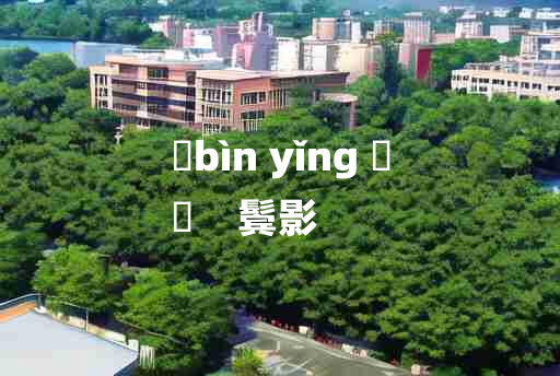 
	bìn yǐng 	
	    鬓影