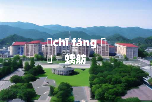 
	chī fǎng 	
	    螭舫