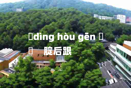 
	dìng hòu gēn 	
	    腚后跟