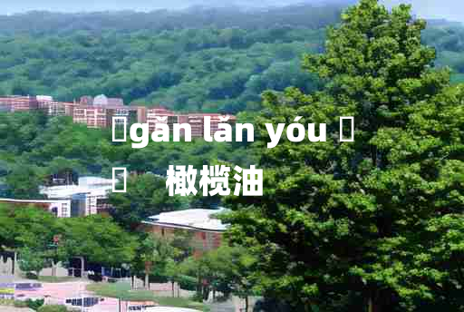 
	gǎn lǎn yóu 	
	    橄榄油