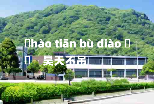 
	hào tiān bù diào 	
	    昊天不吊