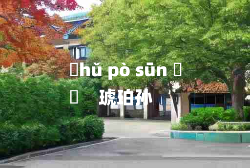 
	hǔ pò sūn 	
	    琥珀孙