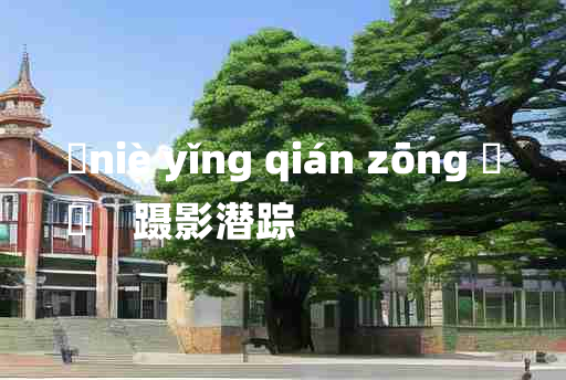 
	niè yǐng qián zōng 	
	    蹑影潜踪