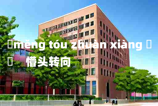 
	měng tóu zhuàn xiàng 	
	    懵头转向