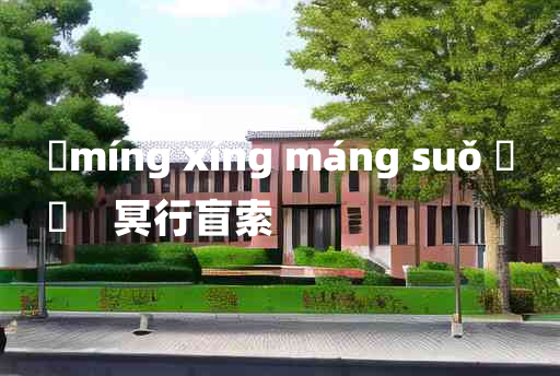 
	míng xíng máng suǒ 	
	    冥行盲索