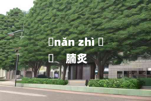 
	nǎn zhì 	
	    腩炙