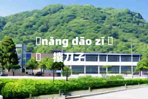 
	nǎng dāo zǐ 	
	    攮刀子