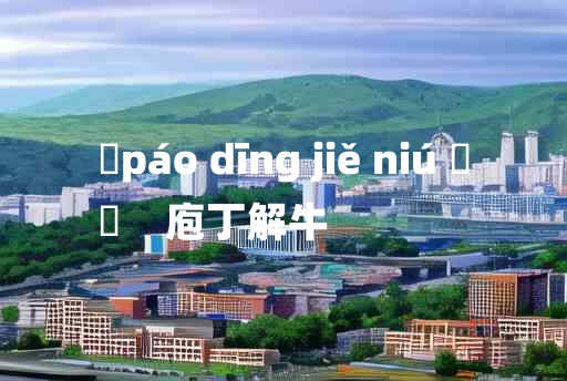 
	páo dīng jiě niú 	
	    庖丁解牛