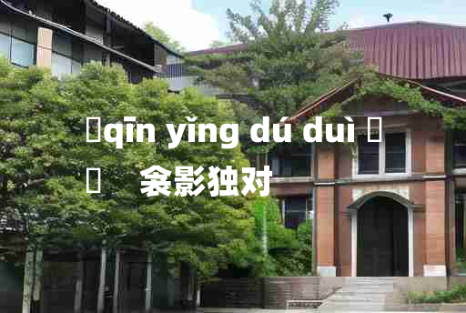 
	qīn yǐng dú duì 	
	    衾影独对