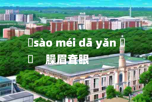 
	sào méi dā yǎn 	
	    臊眉耷眼