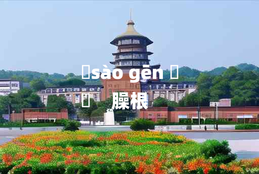 
	sào gēn 	
	    臊根