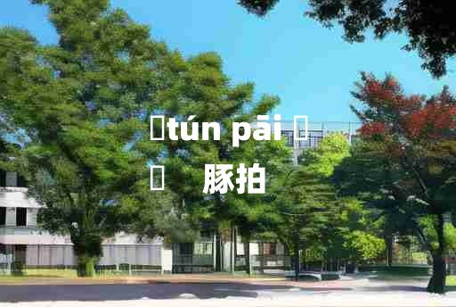 
	tún pāi 	
	    豚拍