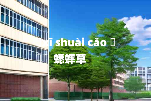 
	xī shuài cǎo 	
	    蟋蟀草