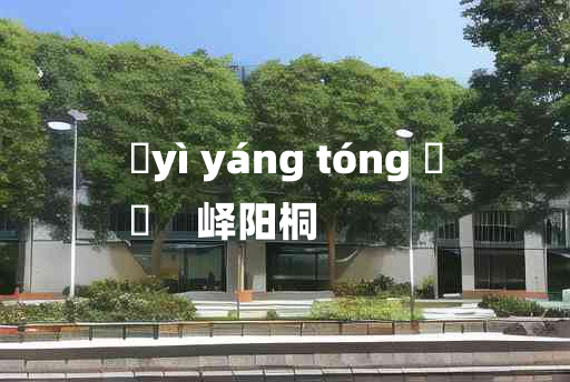 
	yì yáng tóng 	
	    峄阳桐