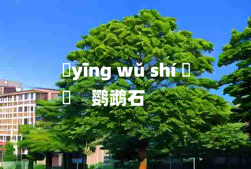 
	yīng wǔ shí 	
	    鹦鹉石