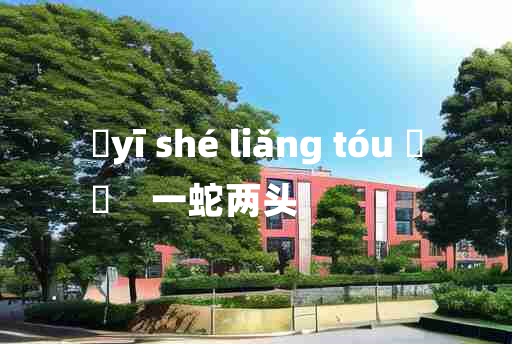 
	yī shé liǎng tóu 	
	    一蛇两头