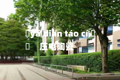 
	yā diàn táo cí 	
	    压电陶瓷