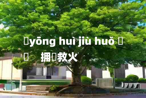 
	yōng huì jiù huǒ 	
	    拥篲救火