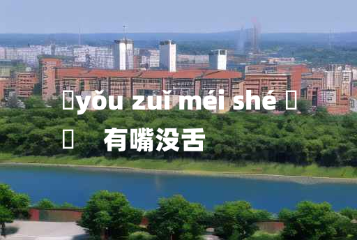 
	yǒu zuǐ méi shé 	
	    有嘴没舌