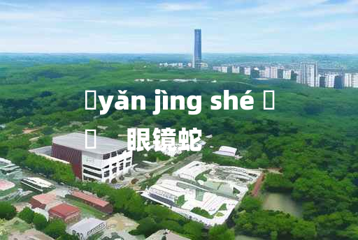 
	yǎn jìng shé 	
	    眼镜蛇