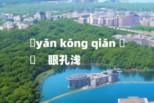 
	yǎn kǒng qiǎn 	
	    眼孔浅