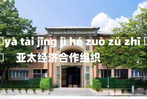 
	yà tài jīng jì hé zuò zǔ zhī 	
	    亚太经济合作组织