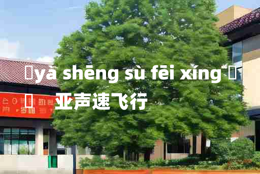 
	yà shēng sù fēi xíng 	
	    亚声速飞行