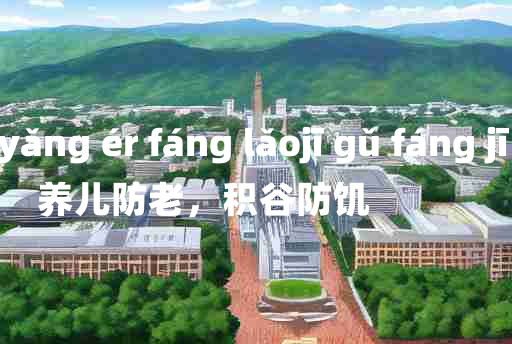 
	yǎng ér fáng lǎojī gǔ fáng jī 	
	    养儿防老，积谷防饥