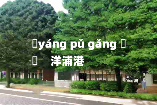 
	yáng pǔ gǎng 	
	    洋浦港