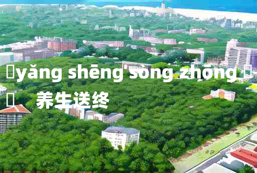 
	yǎng shēng sòng zhōng 	
	    养生送终