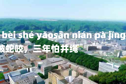 
	yì nián bèi shé yǎosān nián pà jǐng shéng 	
	    一年被蛇咬，三年怕井绳