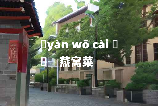 
	yàn wō cài 	
	    燕窝菜