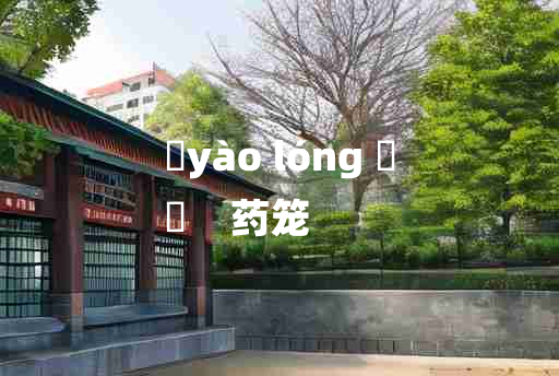 
	yào lóng 	
	    药笼