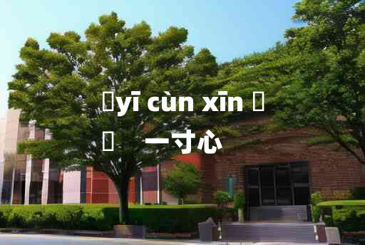 
	yī cùn xīn 	
	    一寸心