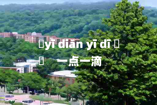 
	yī diǎn yī dī 	
	    一点一滴