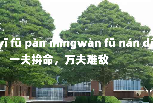 
	yī fū pàn mìngwàn fū nán dí 	
	    一夫拚命，万夫难敌